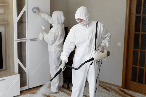 Professional Mold Removal in Lufkin, TX